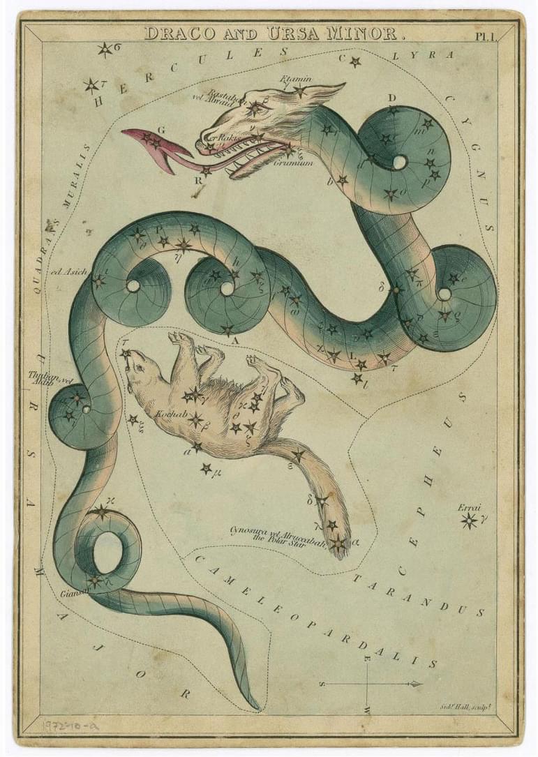 Illustration of long snakelike dragon and white bear representing the constellations Draco and Ursa Minor