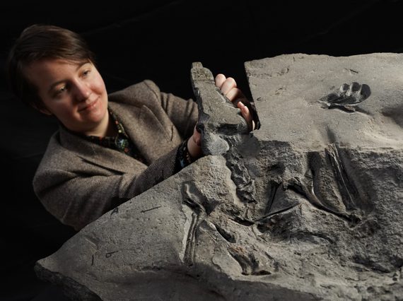 A person wearing a grey suit jacket stands behind a large piece of grey rock with fossil markings in the top.