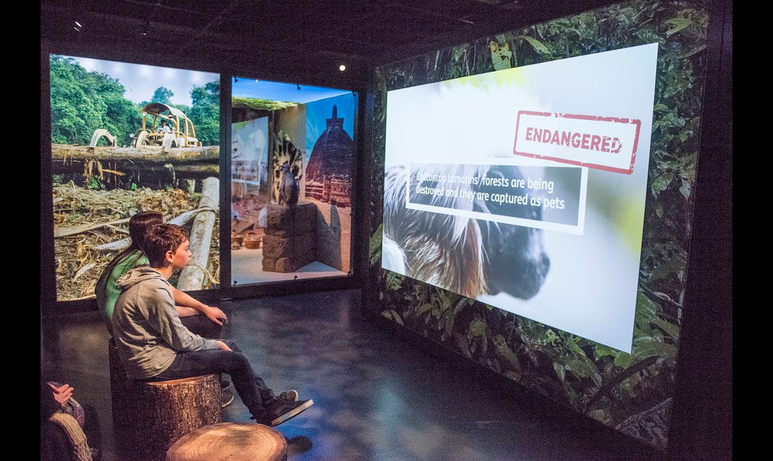 Young visitors watching a video on a projector screen in the Monkey Business exhibition.