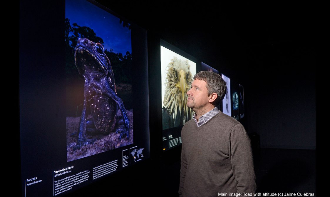 A visitor looking at a photograph of a toad in the Wildlife Photographer of the Year exhibition.