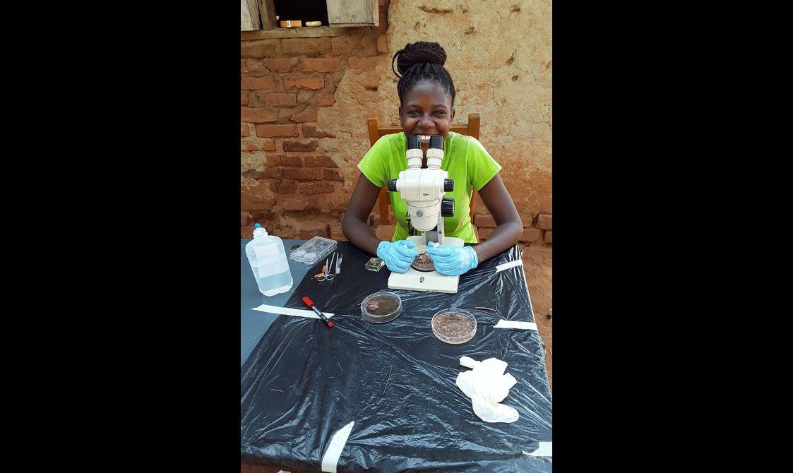 A scientists sitting outside at a table, examining a petri dish through a microscope.