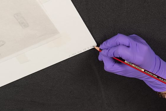 A hand wearing purple latex gloves holding a pencil, writing labelling information on the edge of an old white cardboard drawing.