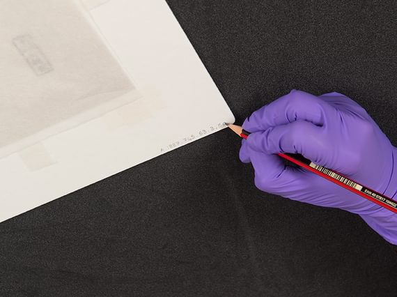 A hand wearing purple latex gloves holding a pencil, writing labelling information on the edge of an old white cardboard drawing.