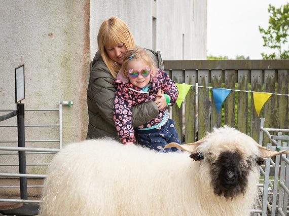A mother holds up their child to look at some sheep.