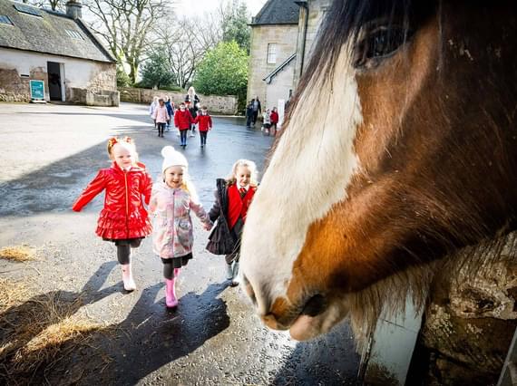 A group of school children holding hands walking up to a horse in a stall.