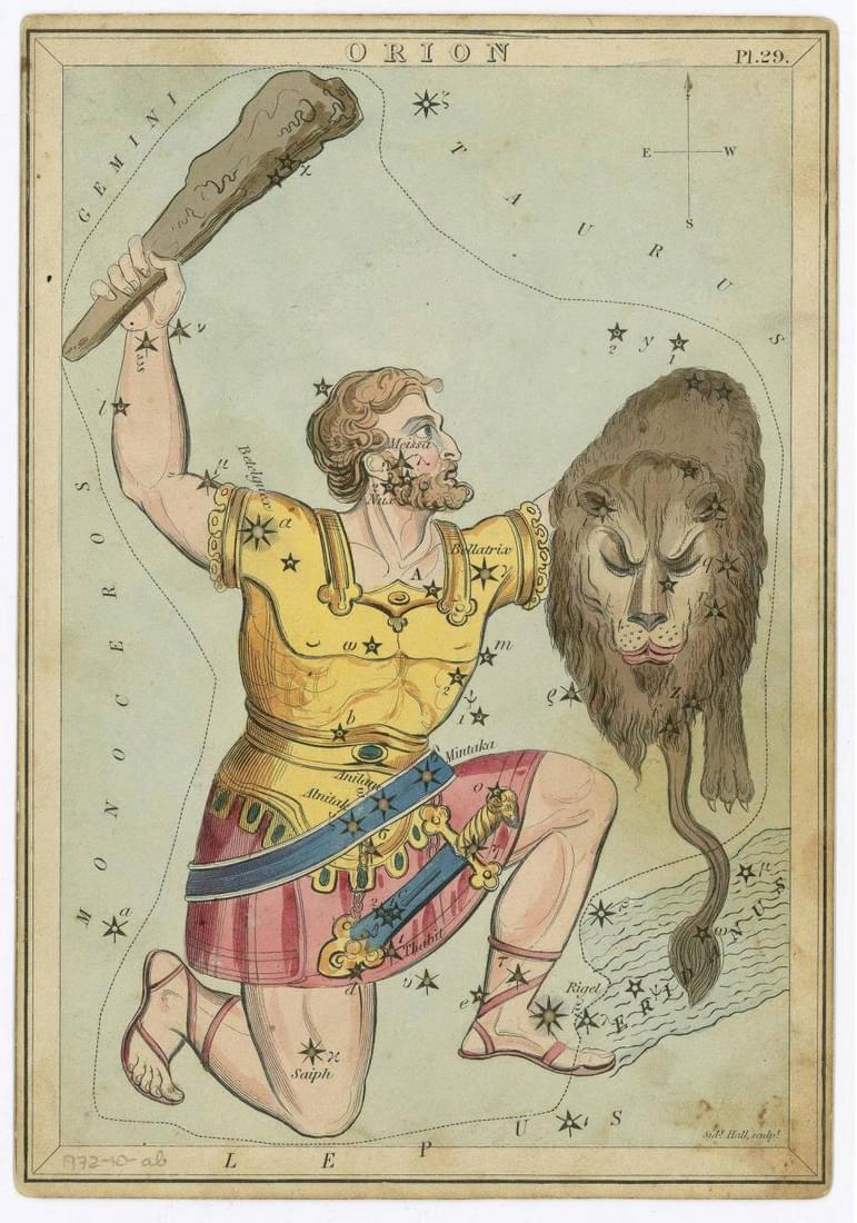 Illustration of ancient warrior with a club and holding a lion, representing the constellation Orion