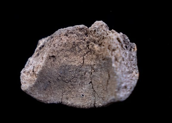 1 lumps of grey looking stone without defining features.