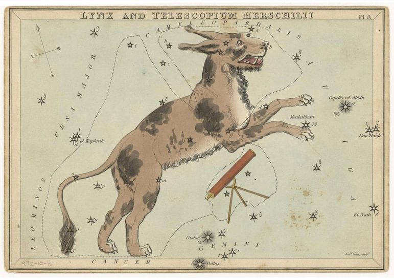 Illustration of a lynx and telescope, representing the constellations Lynx and Telescopium Herschilii