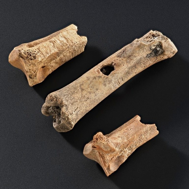 3 fragments of bone are in a row against a black background. The middle bone has clearly got a pierced hole at its centre.