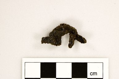 A small gnarled brown piece of organic matter