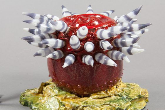 A restored model of a sea anemone made of red and grey glass