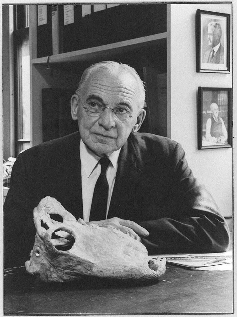 A man with short white hair wearing glasses and a suit and tie, sitting at a table with an animal bone