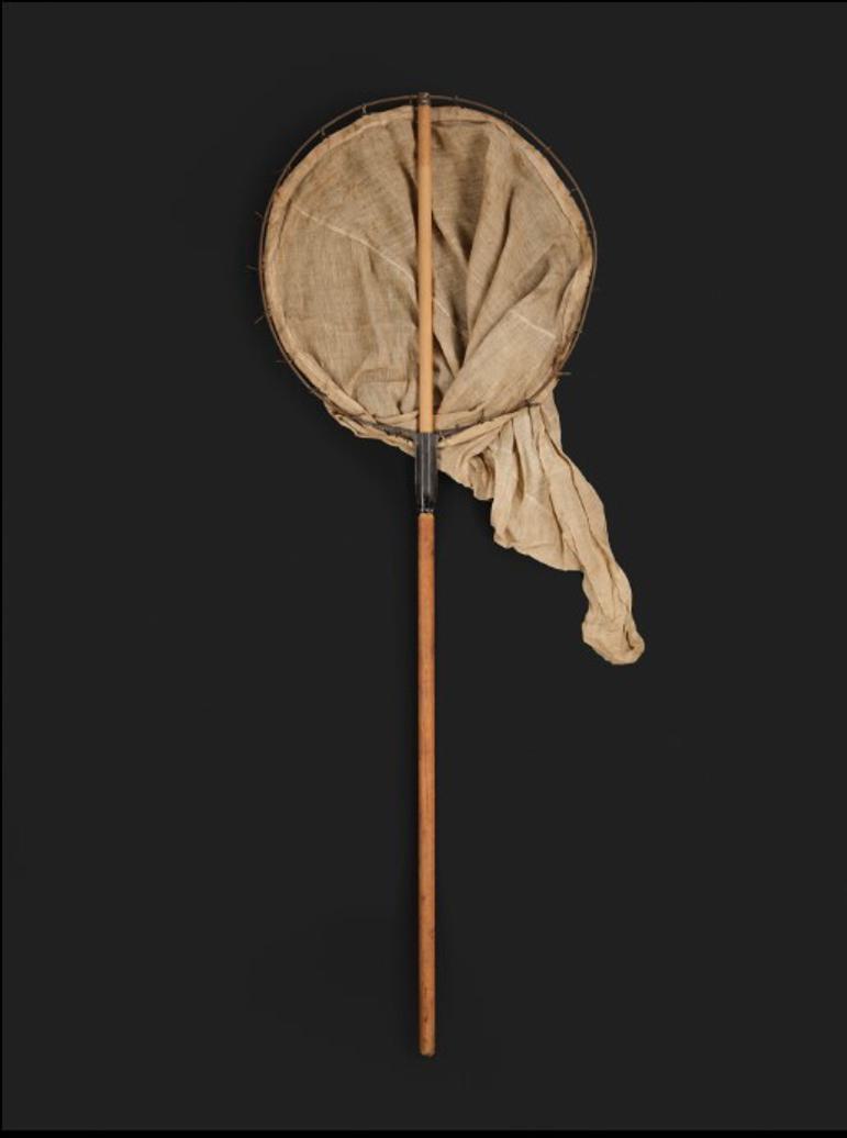 A long wooden pole with a ring net at the end, photographed against a black background.