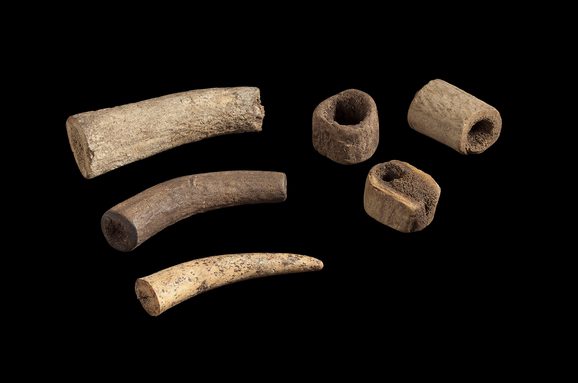 3 long pieces of antler bone and 3 smaller pieces with holes through the centres.