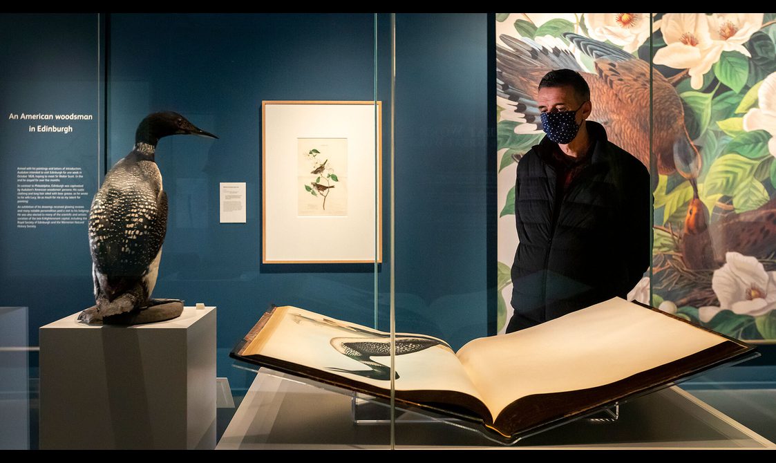 A visitor with a facemask looking at an open page of Birds of America in the Audubon exhibition.