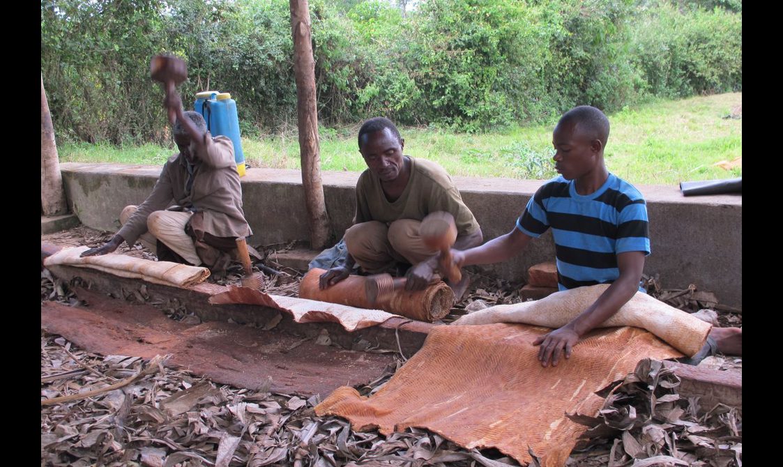 Three men sitting on the ground rolling and working with a type of textile. There is tree bark on the ground and greenery behind them.