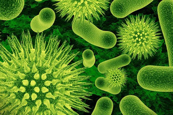 Glowing green magnified microbes.