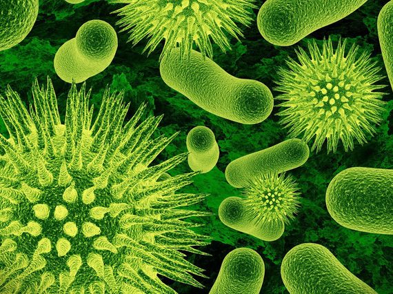 Glowing green magnified microbes.