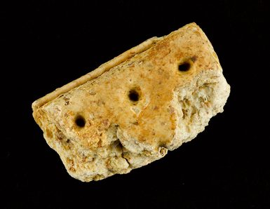 A fragment of a broken biscuit.