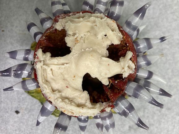 A broken glass model is filled with a cream coloured wax as it undergoes restoration.
