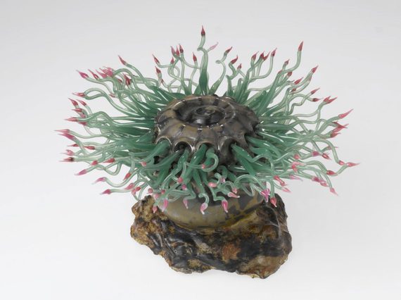 A colourful glass sculpture of a bumpy brown rock with a sea creature on top with multiple long thin green tentacles with pink tips