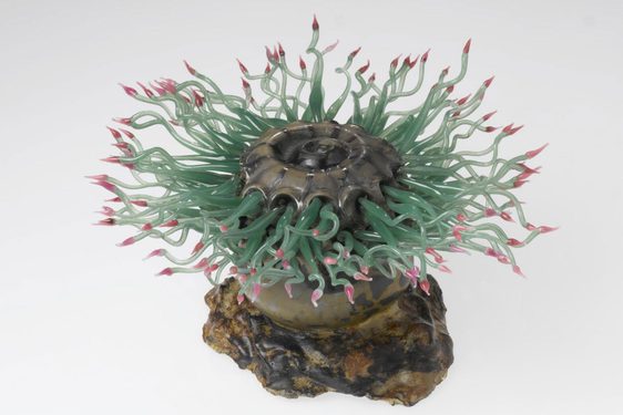 A colourful glass sculpture of a bumpy brown rock with a sea creature on top with multiple long thin green tentacles with pink tips