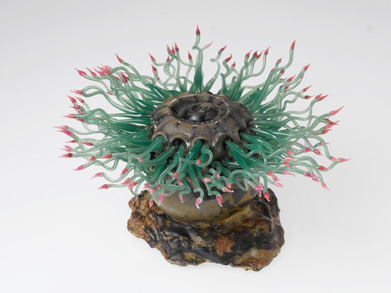 A pink and green glass model of a sea anemone