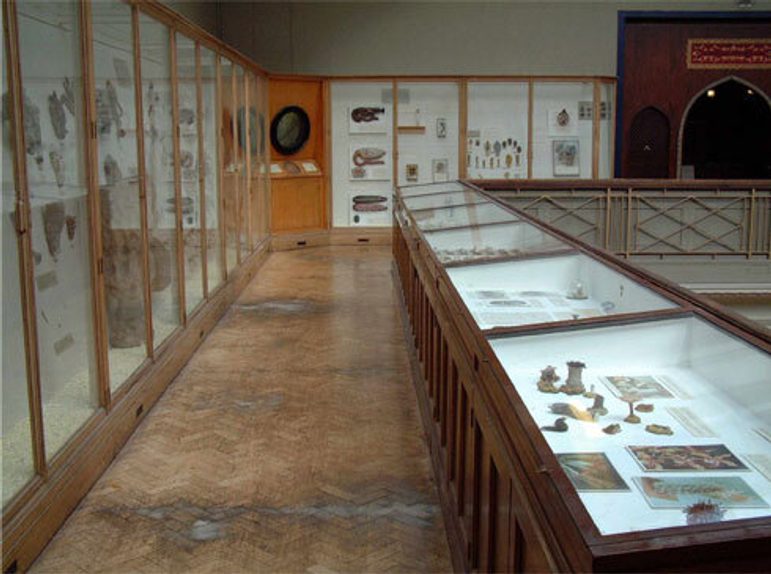 A room a patterned wooden floor lined with glass cabinets displaying various objects