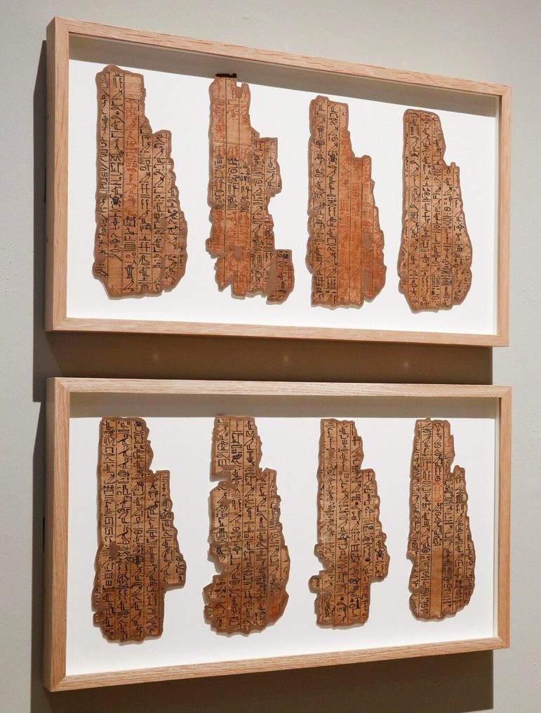 Discoloured fragments of paper from ancient Egypt featuring hieroglyphs mounted on white card with wooden frames hang on a wall.