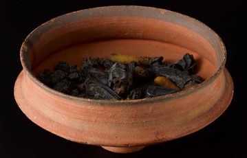 A terracotta bowl with dark dried fruit inside photographed against a black background