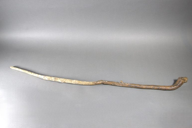 A gnarled, crooked stick with a handle and pointed end.
