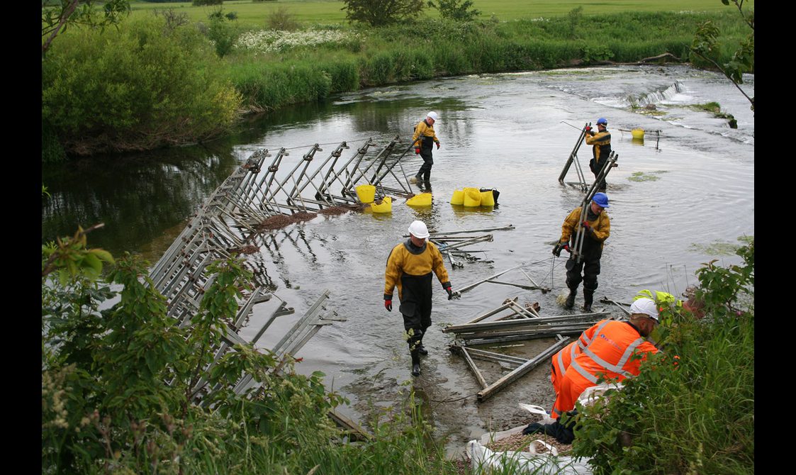 Four men in yellow and orange waterproof clothing erecting a dam made of steel polls in a shallow river surrounded by grassy land