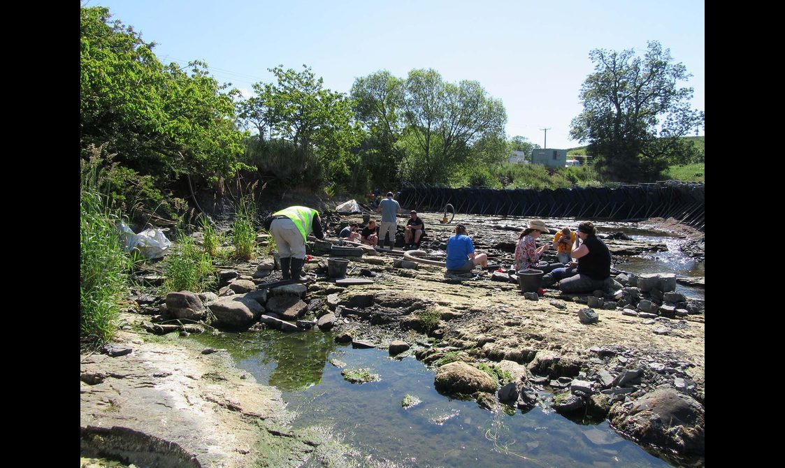 A group of people sitting on rocks at low tide, digging and examining rocks surrounded by tall green trees