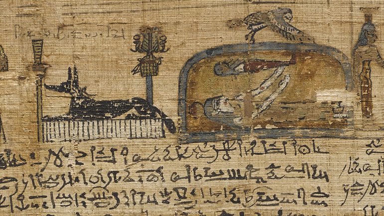 A fragment of an ancient Egyptian scroll with text and illustrations.