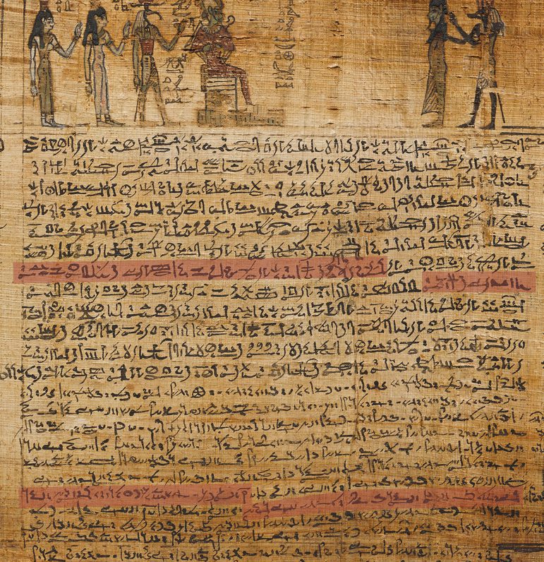 A fragment of an ancient Egyptian scroll with text and illustrations.