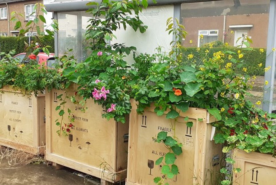 A row of wooden crates housing plants at a bus stop