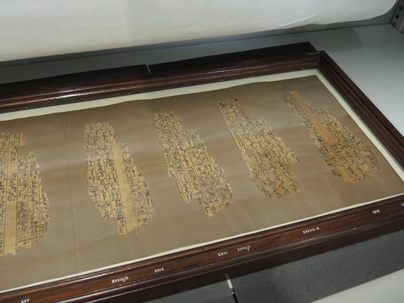 Fragments of paper from ancient Egypt featuring hieroglyphs mounted on brown backing paper framed within a wooden frame.
