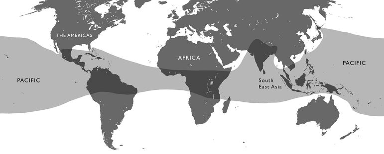 A white and grey map of the world