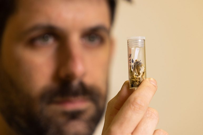 A man holds up a small tube filled with animal specimen parts. His face is out of focus in the background.