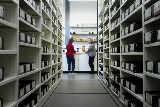 Two people standing at a counter full of specimens at the end of a corridor of shelving.