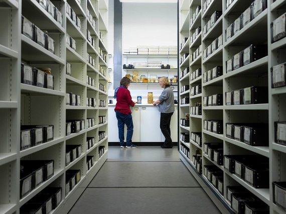 Two people standing at a counter full of specimens at the end of a corridor of shelving.