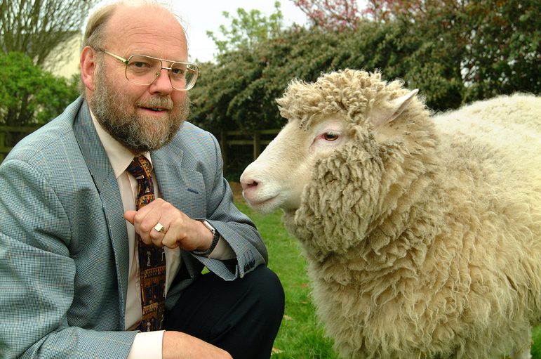A man with a beard and glasses wearing a shirt, tie, and blazer, kneeling beside a large white sheep
