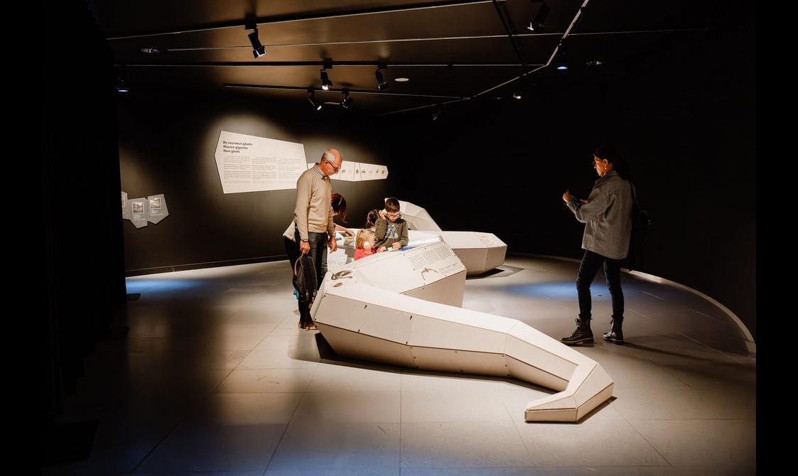Visitors are standing around a 3D sculpture of Titanaboa, a giant snake. The sculpture is white and looks a bit like origami.