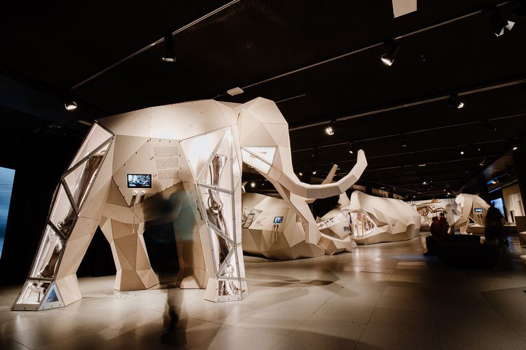 Large 3D origami like sculptures of giant animals, in the giants exhibition space. In the foreground is a woolly mammoth, with glass panels on the legs that show real fossilised bones inside.