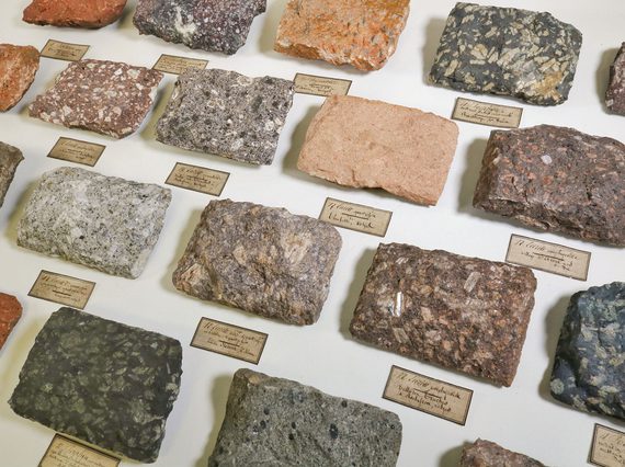 Various different samples of rock cut in rectangular samples and lined up in rows with labels beneath each.