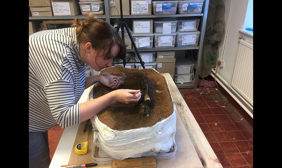 An archaeologist carefully excavates a Bronze Age Spear from a block of dirt using a long thin stick to remove soil