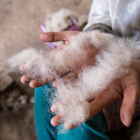 A pair of hands, palms open, with wool resting on top.