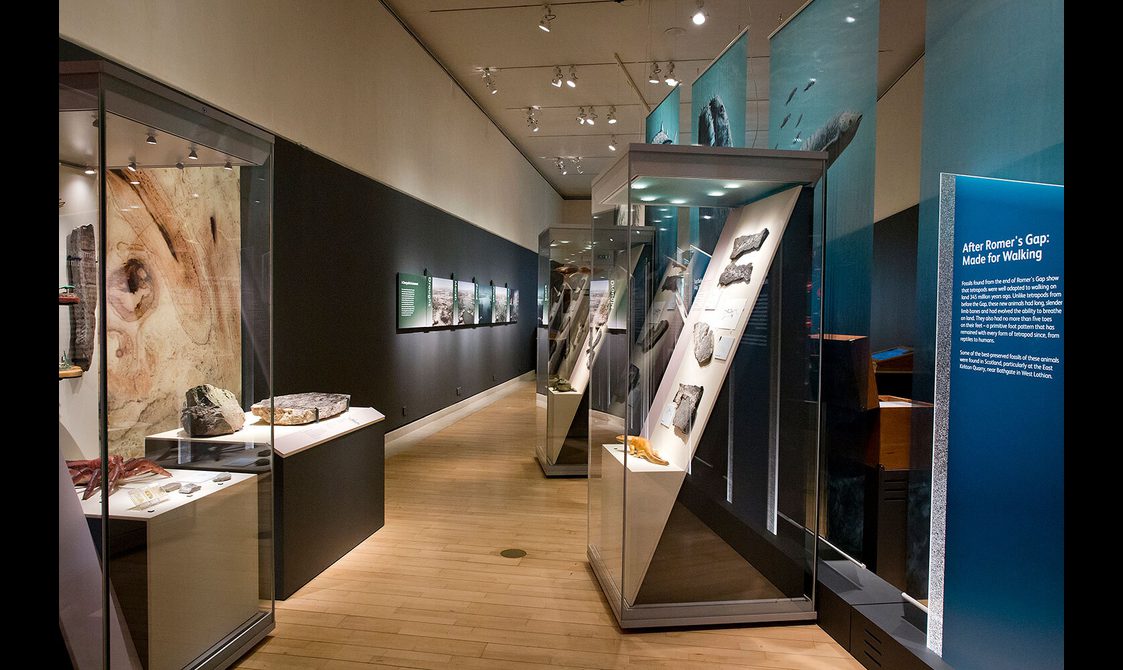 View of a museum exhibition with archaeological specimens in display cases.