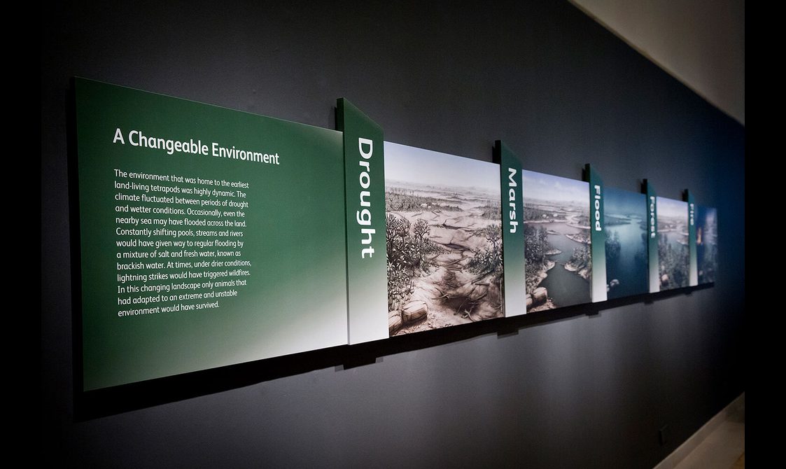 An exhibition panel explaining the changing environment for tetrapods.