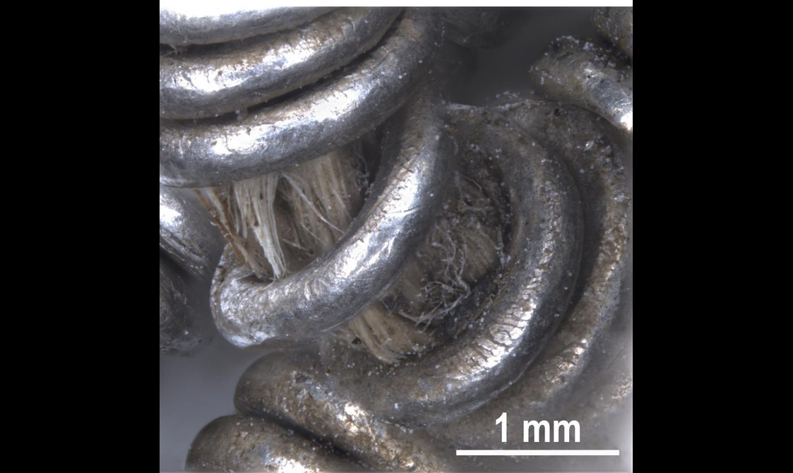 Microscopic closeup of silver links coming apart, revealing a light yellow hair-like material underneath,